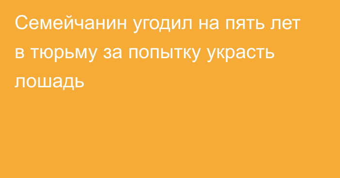 Семейчанин угодил на пять лет в тюрьму за попытку украсть лошадь