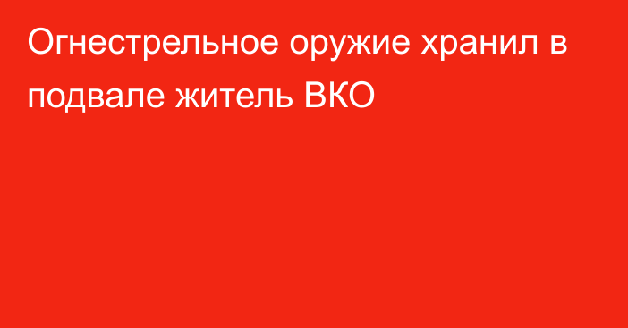 Огнестрельное оружие хранил в подвале житель ВКО