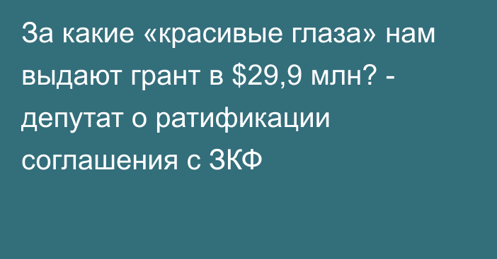 За какие «красивые глаза» нам выдают грант в $29,9 млн? - депутат о ратификации соглашения с ЗКФ