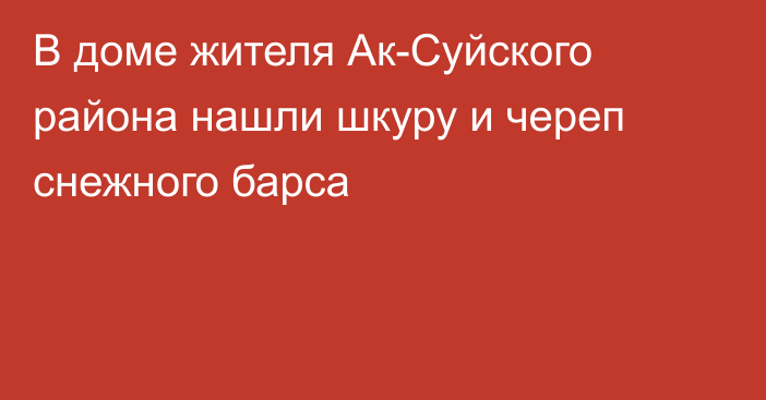 В доме жителя Ак-Суйского района нашли шкуру и череп снежного барса