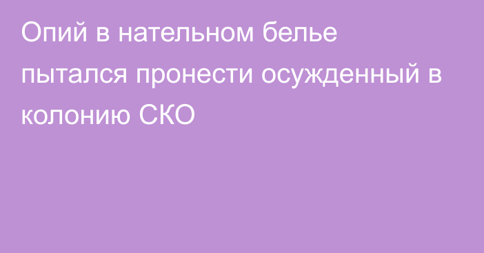 Опий в нательном белье пытался пронести осужденный в колонию СКО