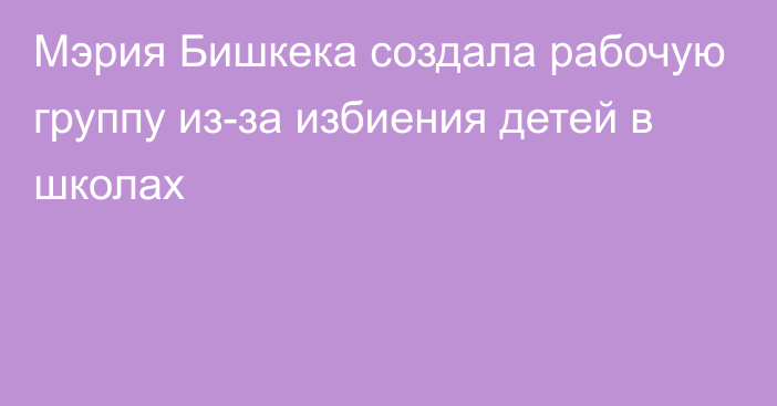 Мэрия Бишкека создала рабочую группу из-за избиения детей в школах