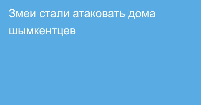 Змеи стали атаковать дома шымкентцев