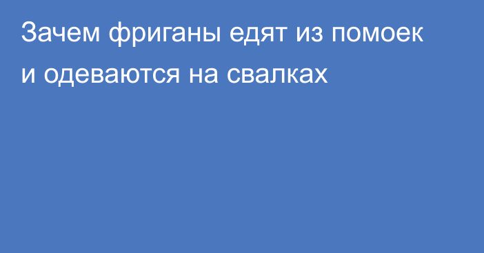 Зачем фриганы едят из помоек и одеваются на свалках