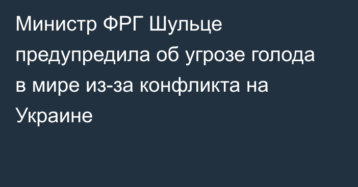 Министр ФРГ Шульце предупредила об угрозе голода в мире из-за конфликта на Украине