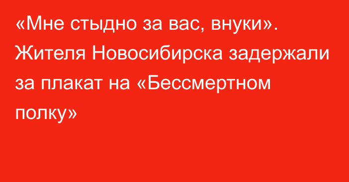 «Мне стыдно за вас, внуки». Жителя Новосибирска задержали за плакат на «Бессмертном полку»