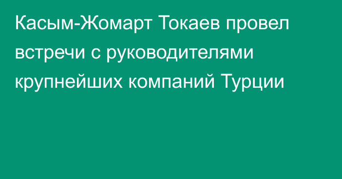 Касым-Жомарт Токаев провел встречи с руководителями крупнейших компаний Турции