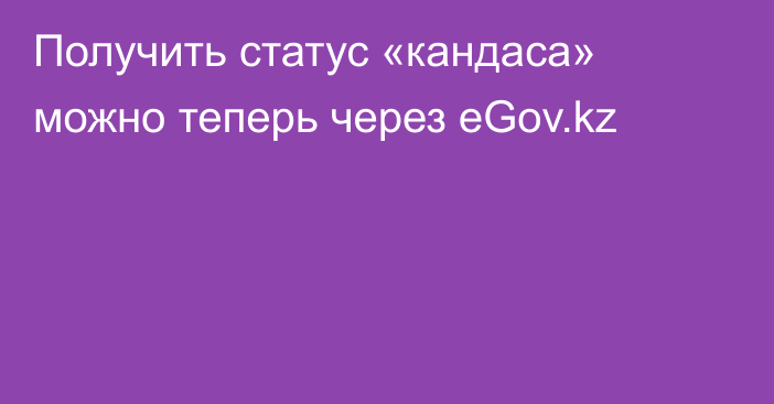 Получить статус «кандаса» можно теперь через eGov.kz