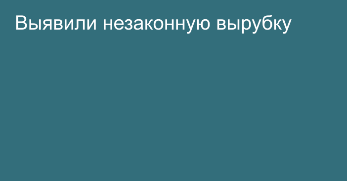 Выявили незаконную вырубку