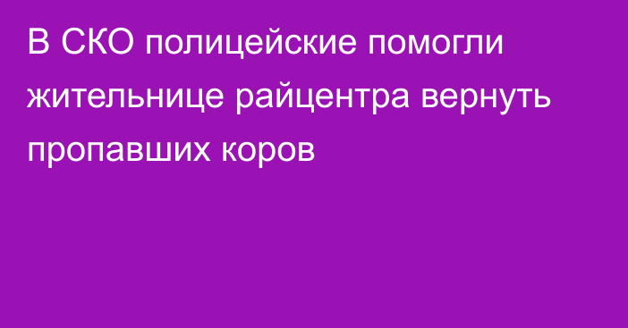 В СКО полицейские помогли жительнице райцентра вернуть пропавших коров