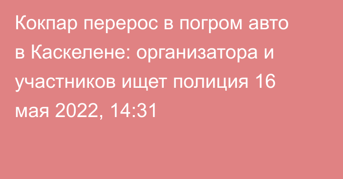 Кокпар перерос в погром авто в Каскелене: организатора и участников ищет полиция
                16 мая 2022, 14:31