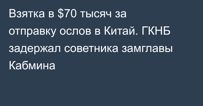 Взятка в $70 тысяч за отправку ослов в Китай. ГКНБ задержал советника замглавы Кабмина