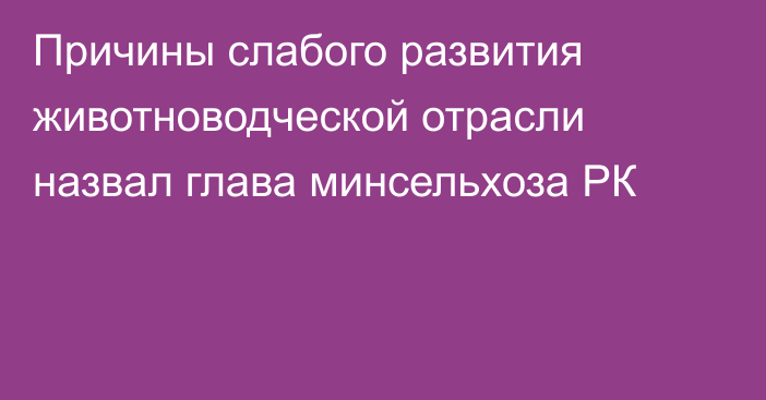 Причины слабого развития животноводческой отрасли назвал глава минсельхоза РК