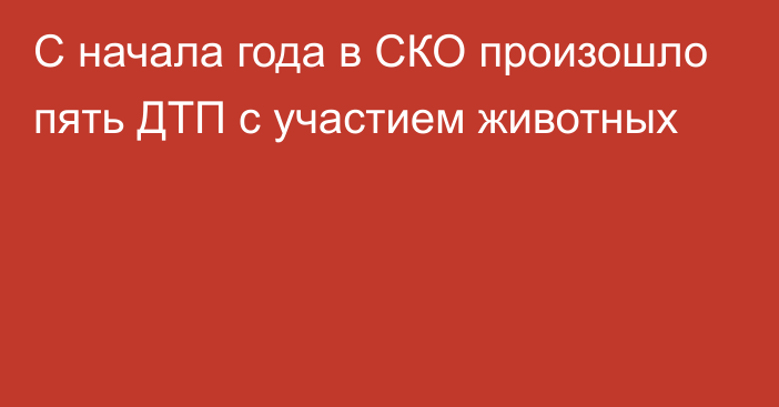 С начала года в СКО произошло пять ДТП с участием животных