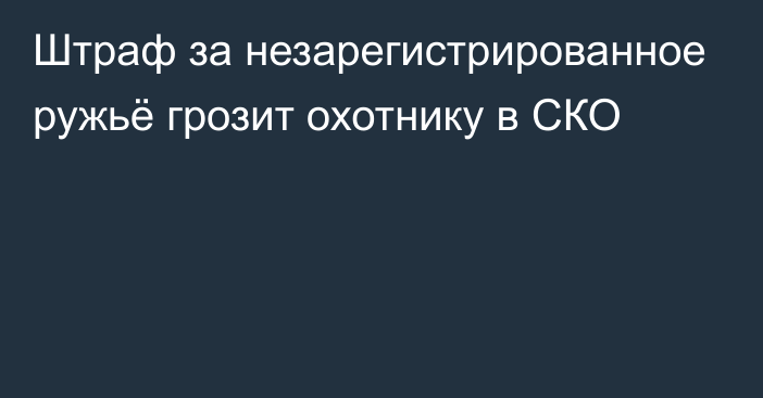 Штраф за незарегистрированное ружьё грозит охотнику в СКО