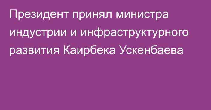 Президент принял министра индустрии и инфраструктурного развития Каирбека Ускенбаева