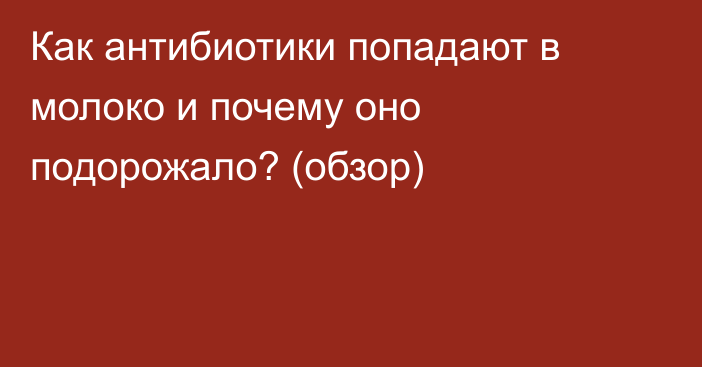 Как антибиотики попадают в молоко и почему оно подорожало? (обзор)