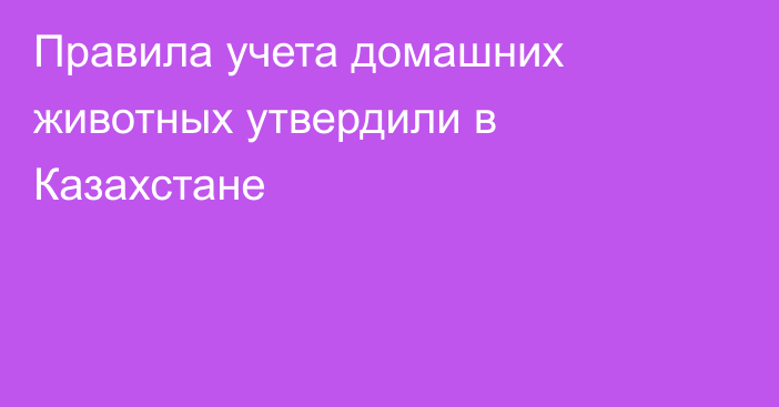 Правила учета домашних животных утвердили в Казахстане