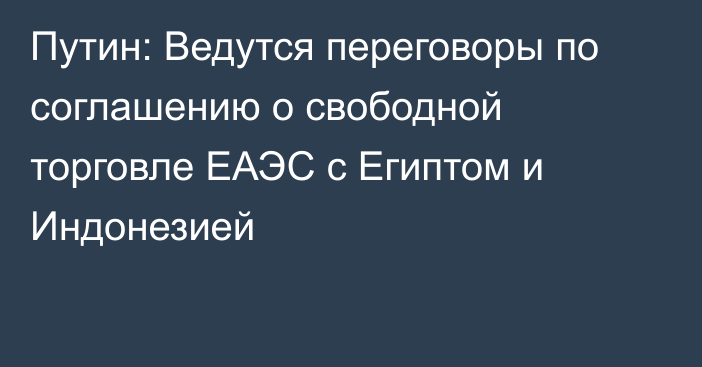 Путин: Ведутся переговоры по соглашению о свободной торговле ЕАЭС с Египтом и Индонезией 