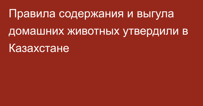 Правила содержания и выгула домашних животных утвердили в Казахстане