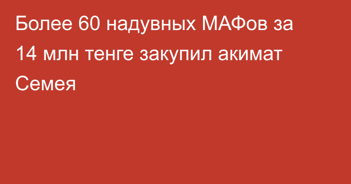 Более 60 надувных МАФов за 14 млн тенге закупил акимат Семея