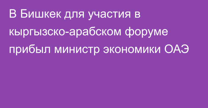 В Бишкек для участия в кыргызско-арабском форуме прибыл министр экономики ОАЭ