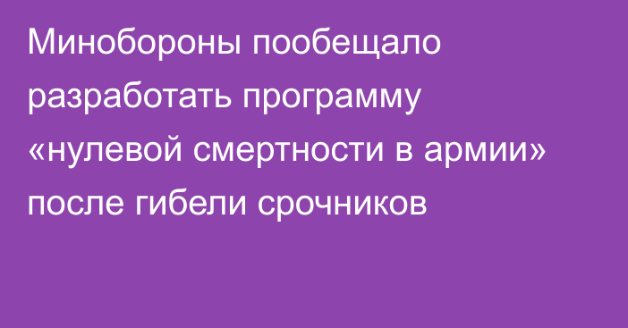 Минобороны пообещало разработать программу «нулевой смертности в армии» после гибели срочников