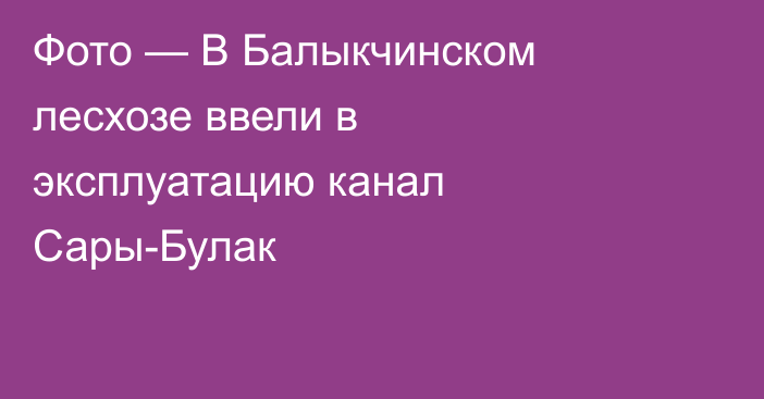 Фото — В Балыкчинском лесхозе ввели в эксплуатацию канал Сары-Булак