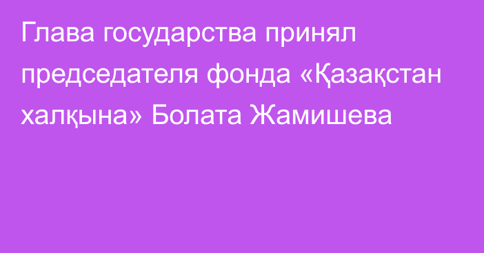 Глава государства принял председателя фонда «Қазақстан халқына» Болата Жамишева