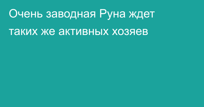 Очень заводная Руна ждет таких же активных хозяев