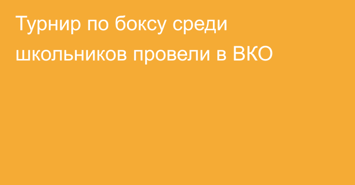 Турнир по боксу среди школьников провели в ВКО