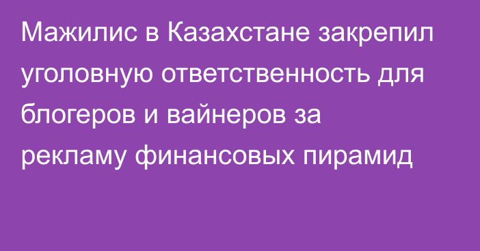 Мажилис в Казахстане закрепил уголовную ответственность для блогеров и вайнеров за рекламу финансовых пирамид