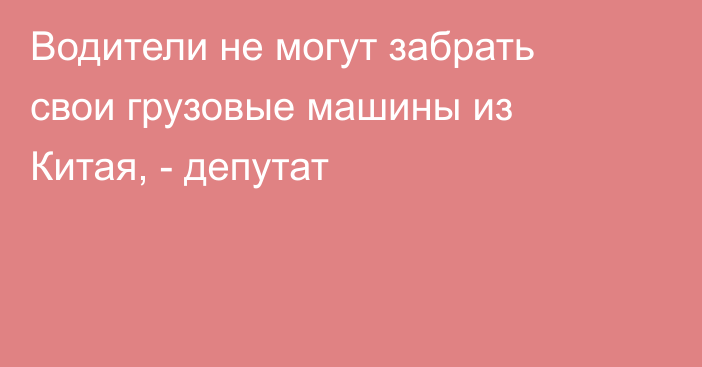 Водители не могут забрать свои грузовые машины из Китая, - депутат