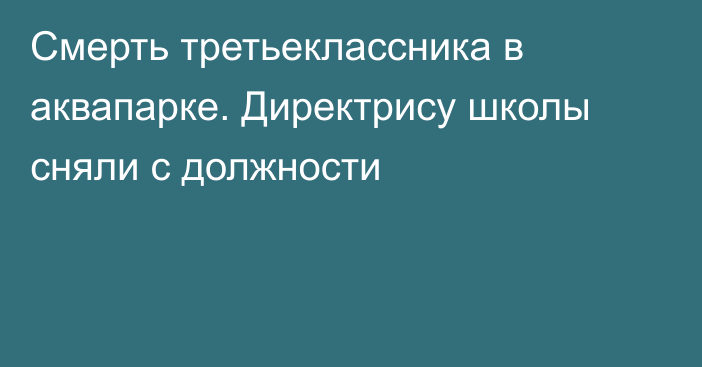 Смерть третьеклассника в аквапарке. Директрису школы сняли с должности