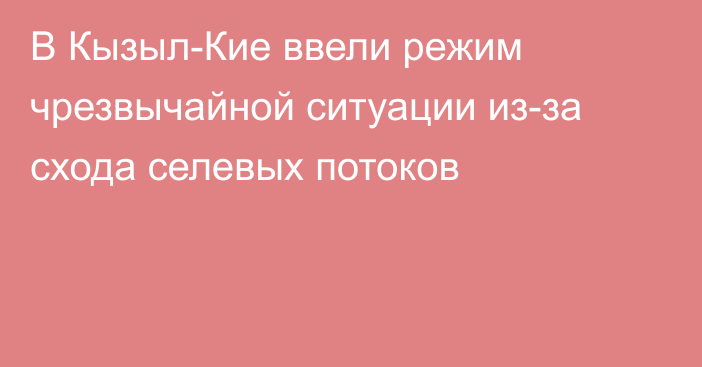 В Кызыл-Кие ввели режим чрезвычайной ситуации из-за схода селевых потоков