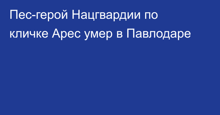 Пес-герой Нацгвардии по кличке Арес умер в Павлодаре