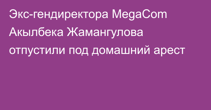 Экс-гендиректора MegaCom Акылбека Жамангулова отпустили под домашний арест