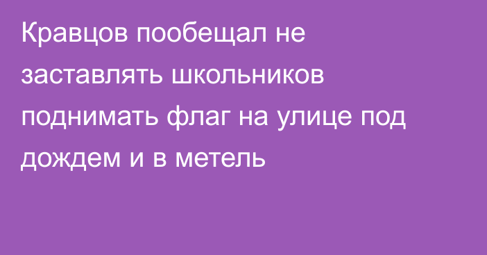 Кравцов пообещал не заставлять школьников поднимать флаг на улице под дождем и в метель