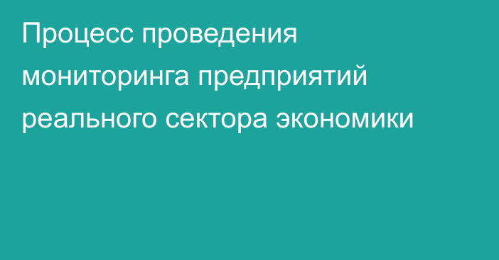 Процесс проведения мониторинга предприятий реального сектора экономики