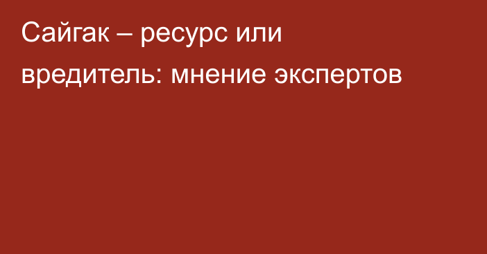 Сайгак – ресурс или вредитель: мнение экспертов