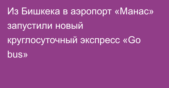 Из Бишкека в аэропорт «Манас» запустили новый круглосуточный экспресс «Go bus»