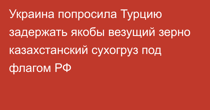 Украина попросила Турцию задержать якобы везущий зерно казахстанский сухогруз под флагом РФ