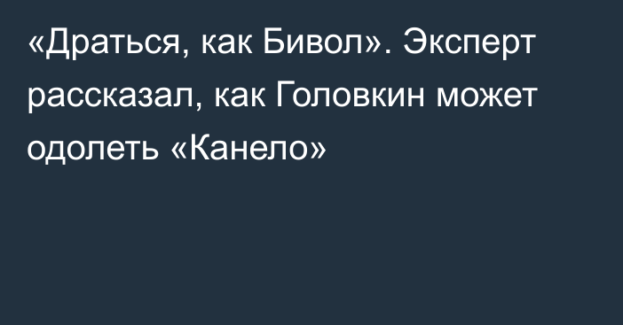 «Драться, как Бивол». Эксперт рассказал, как Головкин может одолеть «Канело»