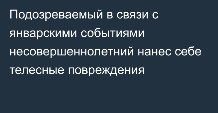 Подозреваемый в связи с январскими событиями несовершеннолетний нанес себе телесные повреждения