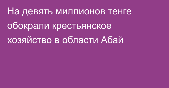 На девять миллионов тенге обокрали крестьянское хозяйство в области Абай