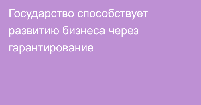 Государство способствует развитию бизнеса через гарантирование