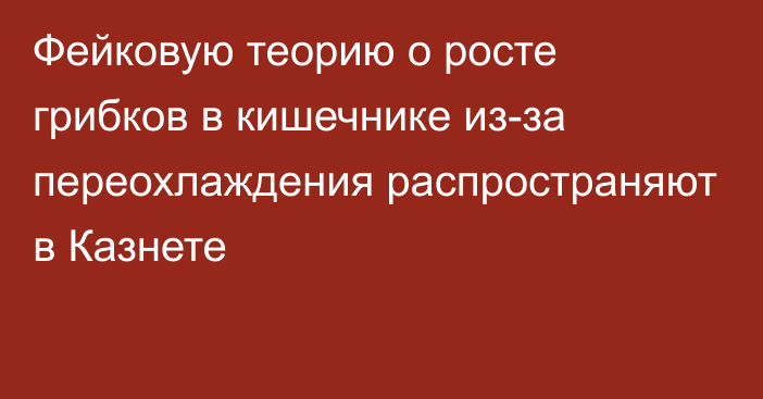 Фейковую теорию о росте грибков в кишечнике из-за переохлаждения распространяют в Казнете