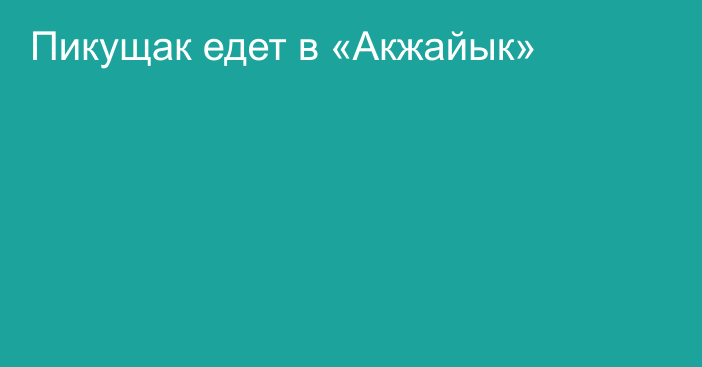 Пикущак едет в «Акжайык»