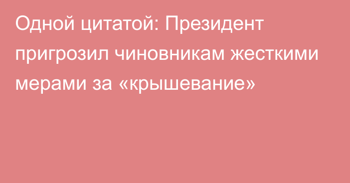 Одной цитатой: Президент пригрозил чиновникам жесткими мерами за «крышевание»