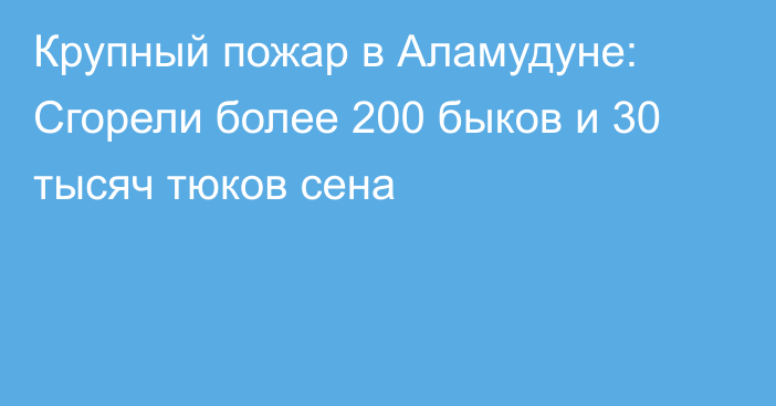 Крупный пожар в Аламудуне: Сгорели более 200 быков и 30 тысяч тюков сена